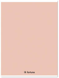 Fortuna Füzet kockás FORTUNA Monocolor A/5 32 lapos 27-32 pasztell barack (01.08669) - robbitairodaszer