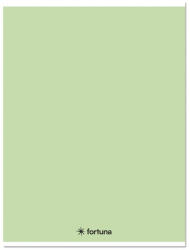 Fortuna Füzet kockás FORTUNA Monocolor A/5 32 lapos 27-32 pasztell zöld (01.08672) - robbitairodaszer