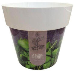  Kaspó DML120H1 (fűszer, sötét) (PE-3830)