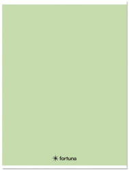 Fortuna Füzet kockás FORTUNA Monocolor A/4 32 lapos 87-32 pasztell zöld (01.08660) - papir-bolt
