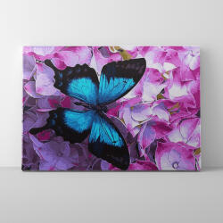 Makana A színek súlytalansága - Számfestő készlet, kerettel (40x50 cm)