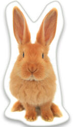 Carbotex Nyuszis formapárna, díszpárna 22x36 cm (CBX536364)