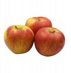  Alma Champion sampon 1 kg