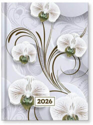 VECTRALINE határidőnapló B/6, napi tervező, 2026, Mystic White princess (VEC-23-09806) - perfectbaby