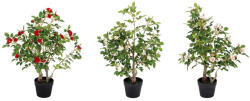 AdTrend Set 3 Trandafiri artificiali 16 x 70 cm (112121)