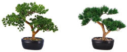 AdTrend Set 2 Bonsai artificiali in ghiveci 15 x 11 x 26 cm (112115)