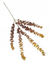 Wera Eukaliptusz narancssárga barna ág 80 cm (JAS172)