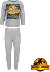 Trenýrkárna Fiú Jurassic World pizsama, többszínű (39227/grey) 110/116