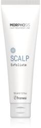 Framesi Morphosis Scalp hajpeeling 150 ml