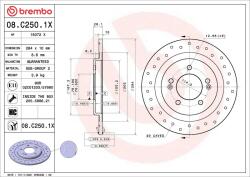 BREMBO Brzdový kotúč BREMBO 08. C250.1X (08.C250.1X)