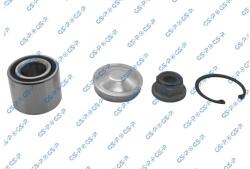 GSP Súprava ložísk kolesa GSP GK6658 (GK6658)
