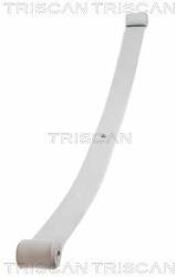 TRISCAN Sada pružin TRISCAN 8765 10004 (8765 10004)