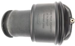 MONROE Vzduchová pružina, podvozok MONROE ASP007 (ASP007)