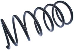 Denckermann Pružina podvozku DENCKERMANN D700098 (D700098)