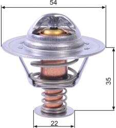 GATES Termostat chladenia GATES TH22689G1 (TH22689G1)