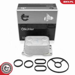 ESEN SKV Chladič motorového oleja ESEN SKV 31SKV382 (31SKV382)