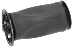 KAVO PARTS Vzduchová pružina, podvozok KAVO PARTS SAS-10005 (SAS-10005)