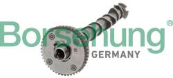 Borsehung Vačkový hriadeľ Borsehung B11319 (B11319)