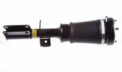 Denckermann Vzduchová pružina DENCKERMANN DSA009G (DSA009G)