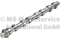 Kolbenschmidt Vačkový hriadeľ KOLBENSCHMIDT 50056001 (50056001)