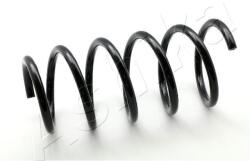 ASHIKA Pružina podvozku ASHIKA ZCA3068G (ZCA3068G)