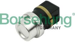 Borsehung Snímač teploty chladiacej kvapaliny Borsehung B13134 (B13134)