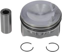 NÜRAL Piest NÜRAL 87-443800-30 (87-443800-30)