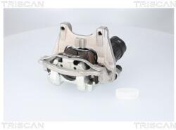 TRISCAN Brzdový strmeň TRISCAN 8175 82204 (8175 82204)