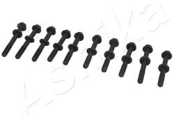 ASHIKA Sada skrutiek hlavy valcov ASHIKA 115-08-800 (115-08-800)