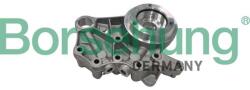 Borsehung Ložisko vačkového hriadeľa Borsehung B19307 (B19307)
