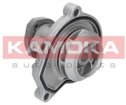 KAMOKA Vodné čerpadlo, chladenie motora KAMOKA T0252 (T0252)