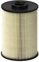 Hengst Filter Palivový filter HENGST FILTER E89KP D163 (E89KP D163)