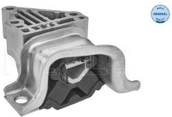 MEYLE Uloženie, motor MEYLE 214 030 0089 (214 030 0089)