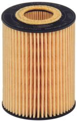Hengst Filter Olejový filter HENGST FILTER E71H D141 (E71H D141)
