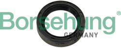 Borsehung Tesniaci krúžok hriadeľa, hriadeľ výsuvného ložiska Borsehung B12192 (B12192)