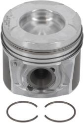 NÜRAL Piest NÜRAL 87-430300-00 (87-430300-00)