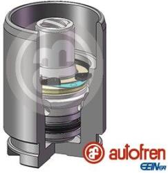 Autofren Seinsa Piest brzdového strmeňa AUTOFREN SEINSA D02578K (D02578K)