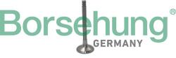 Borsehung Výpustný ventil Borsehung B19012 (B19012)