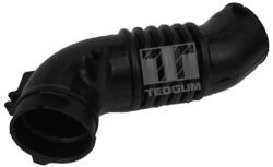 TEDGUM Nasávacia hadica, Vzduchový filter TEDGUM 00392218 (00392218)