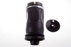 Denckermann Vzduchová pružina, podvozok DENCKERMANN DSA115G (DSA115G)