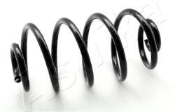 ASHIKA Pružina podvozku ASHIKA ZCA6763X (ZCA6763X)