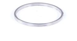 WALKER Tesnenie výfukovej trubky WALKER 80257 (80257)