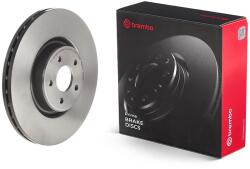 BREMBO Brzdový kotúč BREMBO 09.9586. 21 (09.9586.21)