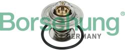 Borsehung Termostat chladenia Borsehung B18231 (B18231)
