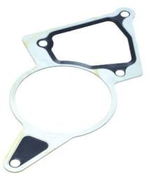 MAXGEAR Tesnenie, podtlakové čerpadlo MAXGEAR 70-0148 (70-0148)