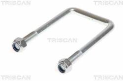 TRISCAN Spona listovej pružiny TRISCAN 8765 100013 (8765 100013)