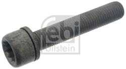 Febi Bilstein Skrutka brzdového strmeňa FEBI BILSTEIN 48817 (48817)