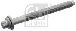 Febi Bilstein Skrutka hlavy valcov FEBI BILSTEIN 15701 (15701)