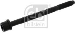 Febi Bilstein Skrutka hlavy valcov FEBI BILSTEIN 01836 (01836)
