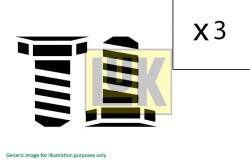Schaeffler LuK Sada skrutiek spojky Schaeffler LuK 411 0197 10 (411 0197 10)